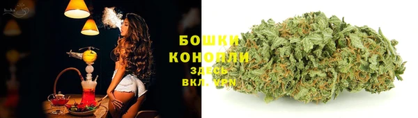 стаф Вязники