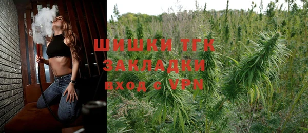 стаф Вязники