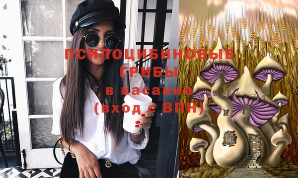 стаф Вязники