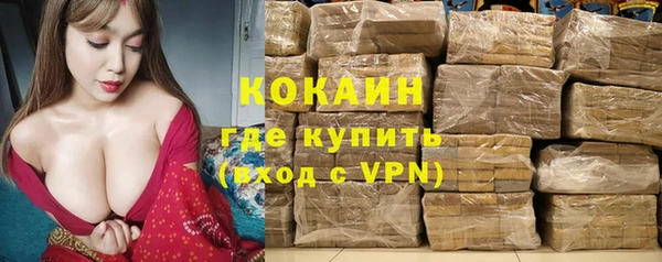 стаф Вязники