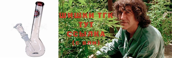 скорость Вяземский
