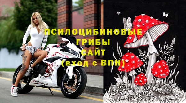 скорость Вяземский