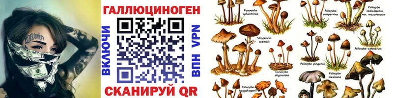 цена   Рязань  Псилоцибиновые грибы мухоморы 